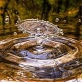 Understanding Liquidity Ratios: A Comprehensive Guide